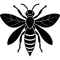 Black and White Stylized Bee Illustration