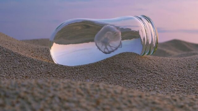 M&eacute;duse flottant dans un bocal en verre pos&eacute; sur le sable au coucher du soleil

