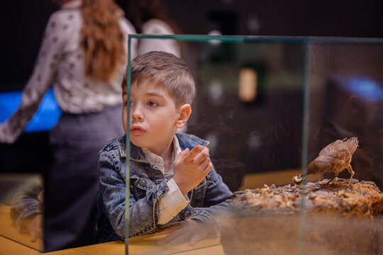 Curious Young Boy Observing Exhibit in Museum