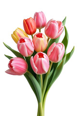 Obraz premium Elegant Bouquet of Pink Tulips, isolated on transparent background, png