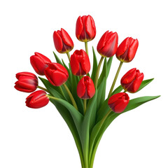Fototapeta premium Elegant Bouquet of red Tulips, isolated on transparent background, png
