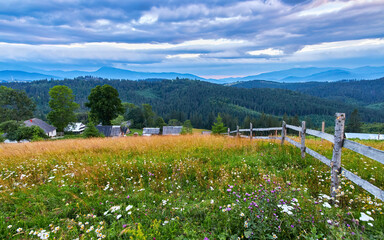 Wildflower Meadow Mountain Village Fence