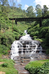 Majestic waterfall in Nanu Oya (Nanuoya) on a tea estate and plantation on a sunny day in Sri Lanka island
