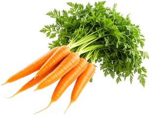 Orange Carrots With Green Tops Isolated On White Background Showing Fresh Produce