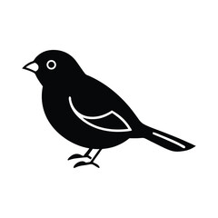Obraz premium Silhouette of a Sparrow