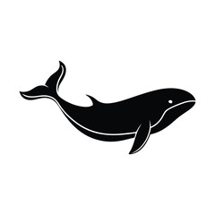 Obraz premium Silhouette of a Whale