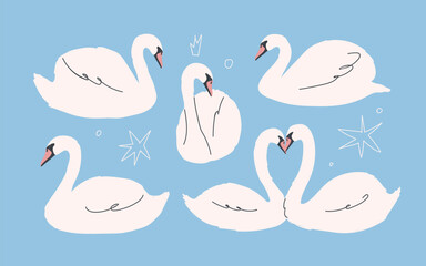 Swans swimming. Elegant graceful water birds with delicate feathers, wings, long necks forming heart shape for love. Charming peaceful gorgeous waterfowl fauna in nature. Flat vector illustration