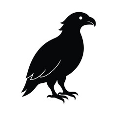 Fototapeta premium Silhouette of a Eagle 