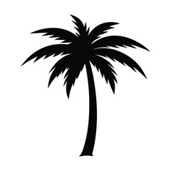 Obraz premium Silhouette of a Palm tree 