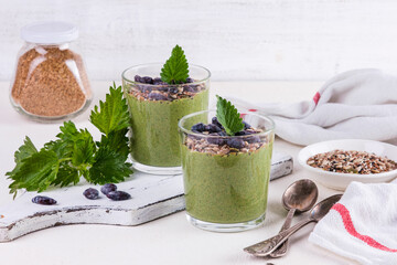 Healthy eating, lifestyle, veganism, alkaline diet, vegetarian concept. Green smoothies from nettle...