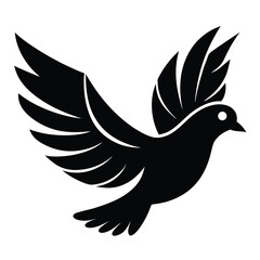dove of peace