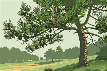 Fototapeta premium 2 pine tree, green pine needles, pine cones, nature, outdoor, forest, landscape, detailed, highly detailed, photorealistic, 8k resolution