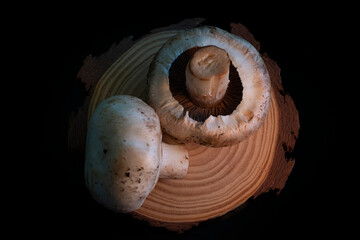 Common mushrooms on dark background