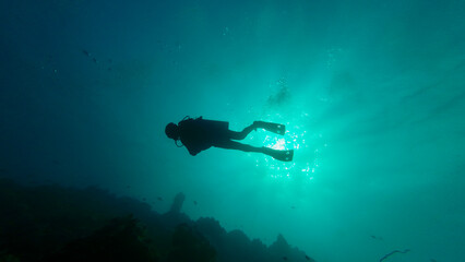 Silhouette of a diver underwater against the sun. View from below of a diver swimming in the water...