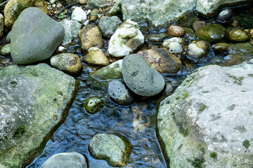 Stream with moss-covered stones in Pantalica gorge