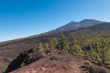Winter view on volcano Pico del Teide with snow spots from hiking trail Samara. Mountains and lava fields with pine tree forest, blue sky. El Teide National Park, Tenerife, Canary Islands, Spain