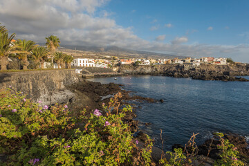 Views of the picturesque Alcala village with traditional architecture houses, small tranquil cove with beach and pier. Pink flowers in foreground, selective focus. Tenerife, Canary Islands, Spain