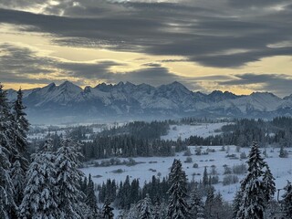 snow covered mountains