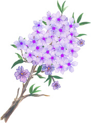 Asian abstract flower blooming blossom frame banner border