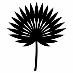 Black Salsify silhouette icon on white background