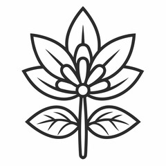 Borage outline icon on white background