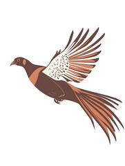 Colorful Flying Bird Illustration with Feathers: Vector Wildlife Art for Nature Lovers and Birdwatching Enthusiasts