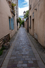 Fototapeta premium vue urbaine avec une ruelle dans la ville de Paris en France