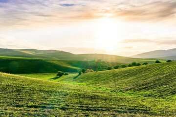 Obraz premium green spring or fummer farm field. rural landscape of countryside wirh agriculture view in farmland with beautiful cloudy sky on background