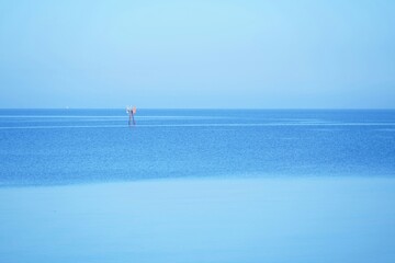 Naklejka premium morning sea