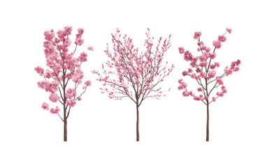 Naklejka premium Set of Prunus × cistena Purple Leaf Sand Cherry tree cutout, frontal isolated, vector illustration, ornamental shrub, garden landscaping, deciduous plant, seasonal foliage.