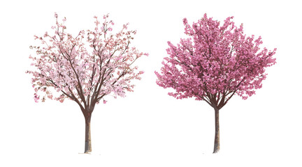 Fototapeta premium Set of blossoming Prunus persica and Prunus cerasifera street trees frontal isolated cutout, vector illustration, spring garden trees, ornamental flowering trees.