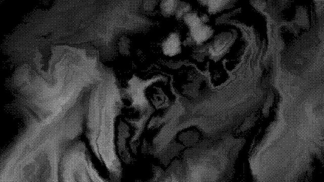 Stylized Portrait with Floral Halo