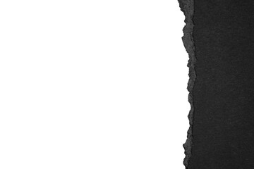 torn paper background