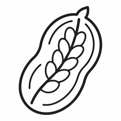 Borlotti Bean outline  icon on white background