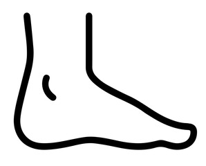 Human Foot. Anatomy, Podiatry, Movement, Foot Health, and Medical Illustration for Wellness, Physiotherapy, and Body Awareness Campaigns
