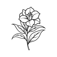 oleander-flower-line-art-on-white-background.eps