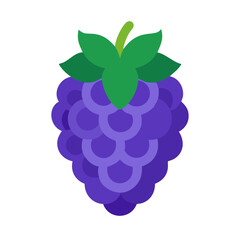 Stylized illustration of fresh blackberry on a black background