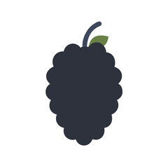 Stylized flat vector illustration of a single blackberry fruit