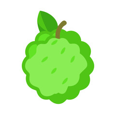 Flat vector illustration of green soursop fruit on black