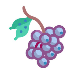 Stylized flat vector grape cluster with leaf detail