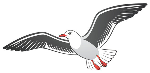 Obraz premium Flying Seagull Vector Illustration – Stylized Bird in Motion