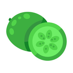 Fresh green unripe melon whole and sliced illustration