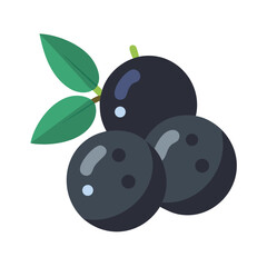 Black olives with leaves flat design vector illustration