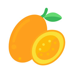 Illustration of kumquats one whole and one sliced half