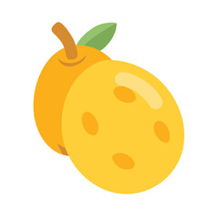 Two vibrant apricots with a stem and leaf