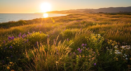 Fototapeta premium A sunlit coastal bluff covered in golden grasses and wildflowers 