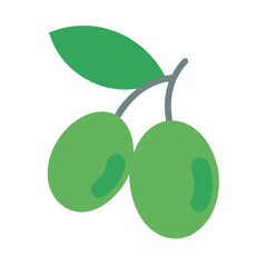 Green olives on the branch with leaf illustration