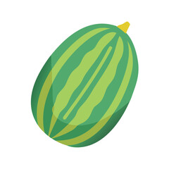 Single watermelon illustration with light green stripes on black