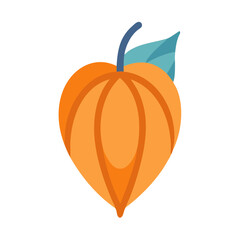 Stylized illustration of a physalis fruit against a black background