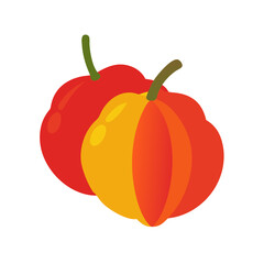 Two acerola cherries overlapping each other on black background